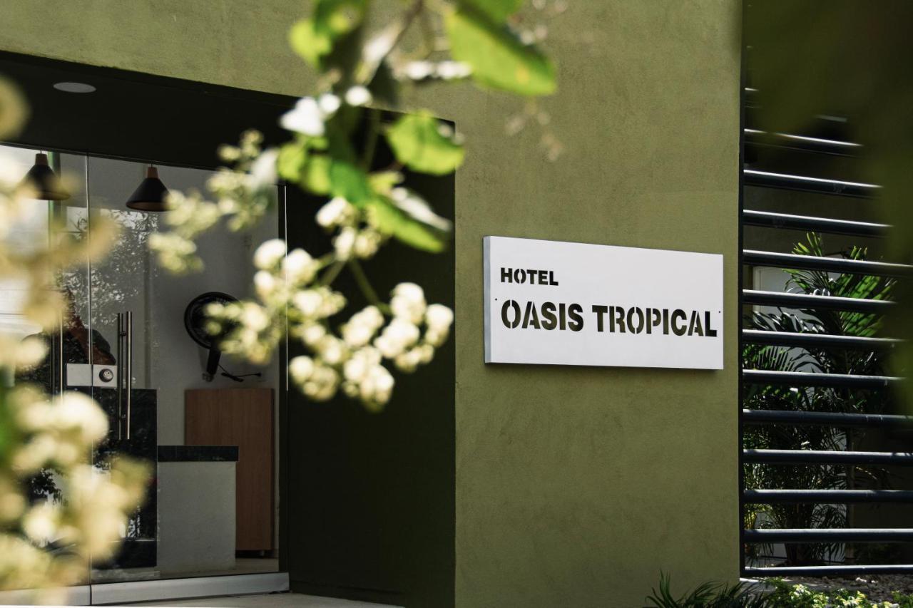 Oasis Tropical